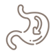 Supports Digestion